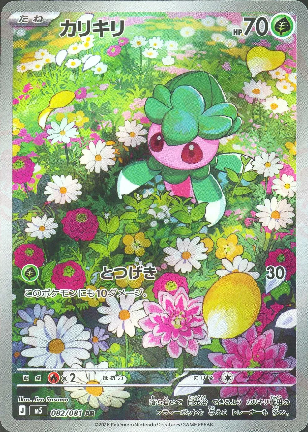 カリキリ(AR)